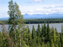 a v popředí rezervace zvěře Tetlin Wildlife Refuge za jezerem Tetlin Lake
