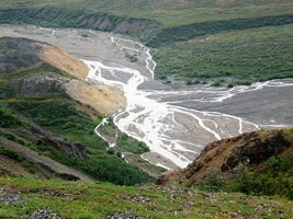 a vyhlížíme největší místní atrakci - zvěř