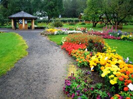 a fotosyntéza má šanci předvádět, co dovede