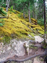 Hned zpočátku je pěkně krkolomná