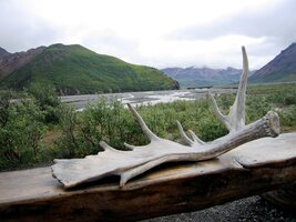 před Visitor Centrum v samém středu NP