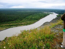 je narozdíl od Tezlina River plné vody, proč asi ?
