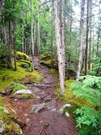 Tudy nosili zlatokopové na zádech neuvěřitelné náklady