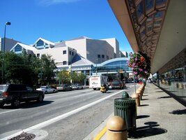 Šokuje vás místní květena, teplé počasí,