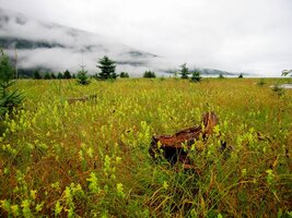 Příroda je tu neuvěřitelně pestrá