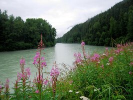 Ta řeka je Skagway River