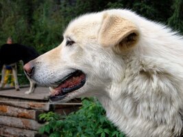 Dost už ale zahálky!