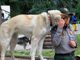 Tenhle obr vypadá přítulně,