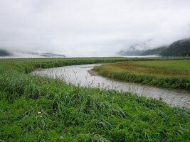 kotviště stovek lodí se zlatokopy