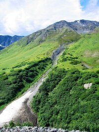 Tak nashledanou, zelené hory Chugach Mountains!