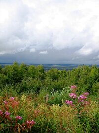 Za Fairbanks obracíme k jihozápadu