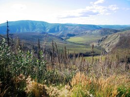 Na Taylor Highway mezi městečky Creek a Tok
