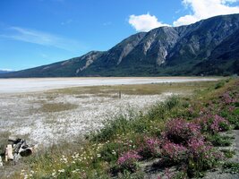 a jinde zase jako šedé a zpola vyschlé