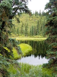 jež jsou rájem ryb a vodního ptactva
