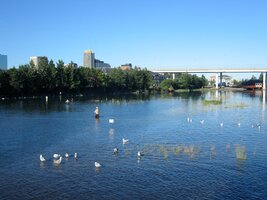 Tohle je místní řeka Skin Creek,