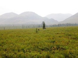 Vyjíždíme speciálním autobusem k velkému okruhu