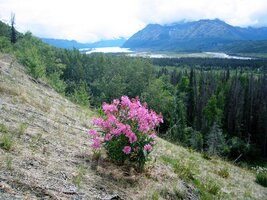 A tady už vyhlížíme vzdálený ledovec Matanusca Glacier,