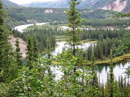 Toto je jezírko Horseshoe Lake