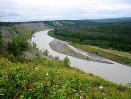 Řečiště ledovcové řeky Copper River