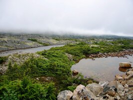 Tady už zdoláváme průsmyk White Pass
