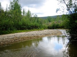 Ano - slavný Discovery Claim na potoce Bonanza Creek