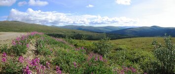 a silnice Sleese Highway se časem změnila na "dusty street"