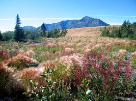 Tady už jsme v NP Kluane