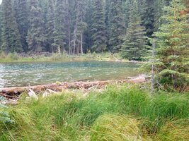 Měli jsme ale smůlu, dnes nepřišli