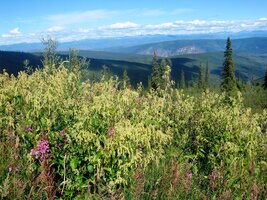 Však také silnice, kde stojíme, se jmenuje Top of the World