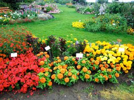 Co říkáte barvám aljašské flóry?