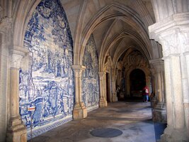 ... a tyto v ambitech katedrály