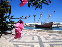 Elegie nábřeží v Lagosu