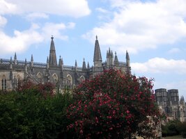 a ještě jednou totéž s květy pozdního léta