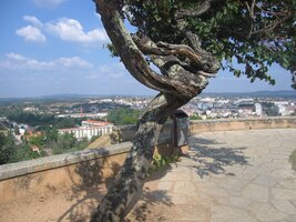 Pohled na město Tomar od kláštera