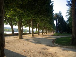 Platany a palmy - tady normální