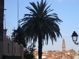 A ještě jednou věž Torre dos Clerigos