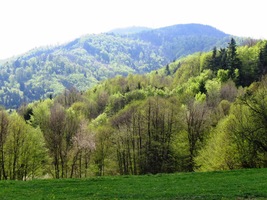v okolí centra místní báňské těžby