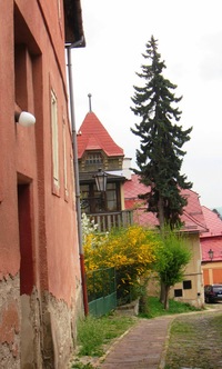 a jejich neobvyklých seskupení