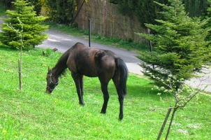 za kterou kdysi jezdil i sám prezident TGM
