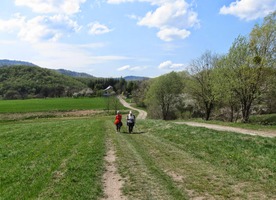 a po osvěžení řízným pivem Corgoň