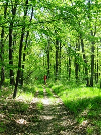 SO 25.4. Dnes jsme na túru odjeli 60 km daleko