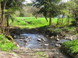 jdeme dále kolem malého potůčku