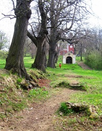kaple, kostely a ostatní sakrální stavby