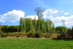 sestupujeme až do vzdálených Topolčianek