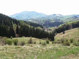 Obcházíme tuto historickou oblast