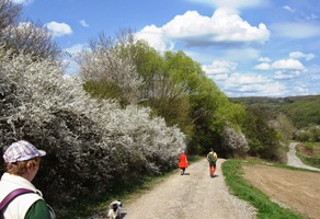 S nejvyšší horou Štiavnických vrchů za zády