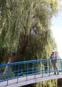 přicházíme do zeleně Vondelparku