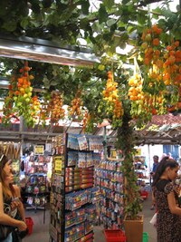 semínky a cibulkami,