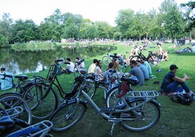 Zdá se, že si tu celé město