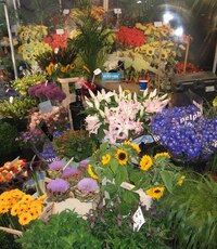 (bez záruky, samozřejmě)